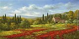 Tuscany Canvas Paintings - Tuscany Beauty II